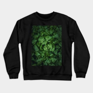 green leaves texture Crewneck Sweatshirt